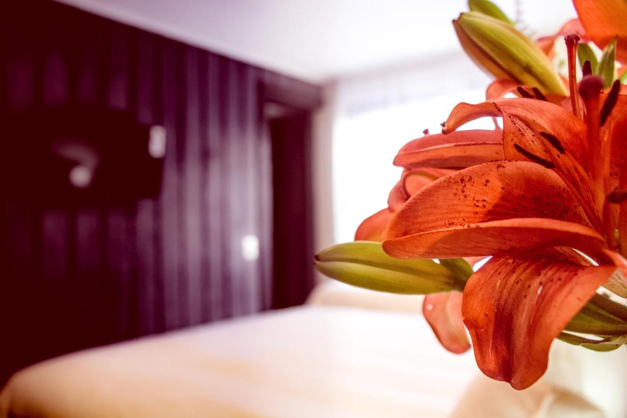 Newen B&B Пукон Екстер'єр фото