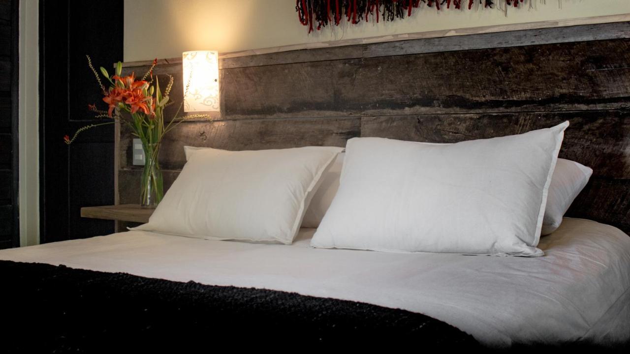 Newen B&B Пукон Екстер'єр фото