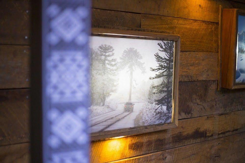 Newen B&B Пукон Екстер'єр фото